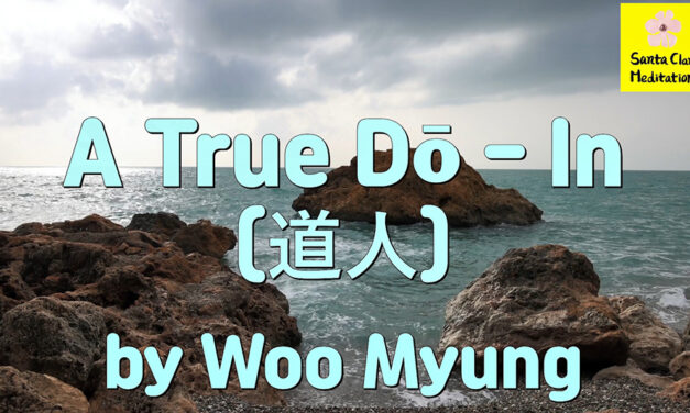 Master Woo Myung – How to Find True Self – A True Dō – In (道人)