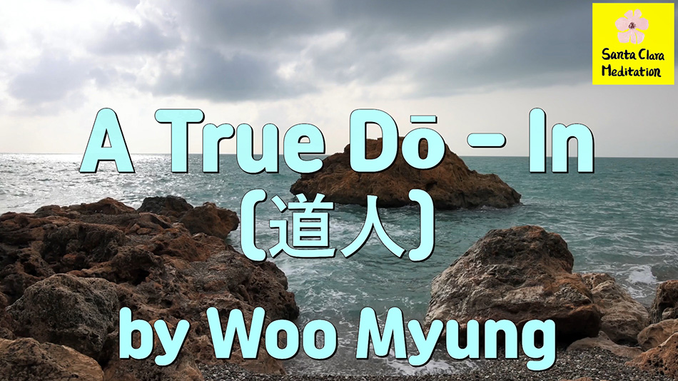 Master Woo Myung – How to Find True Self – A True Dō – In (道人)