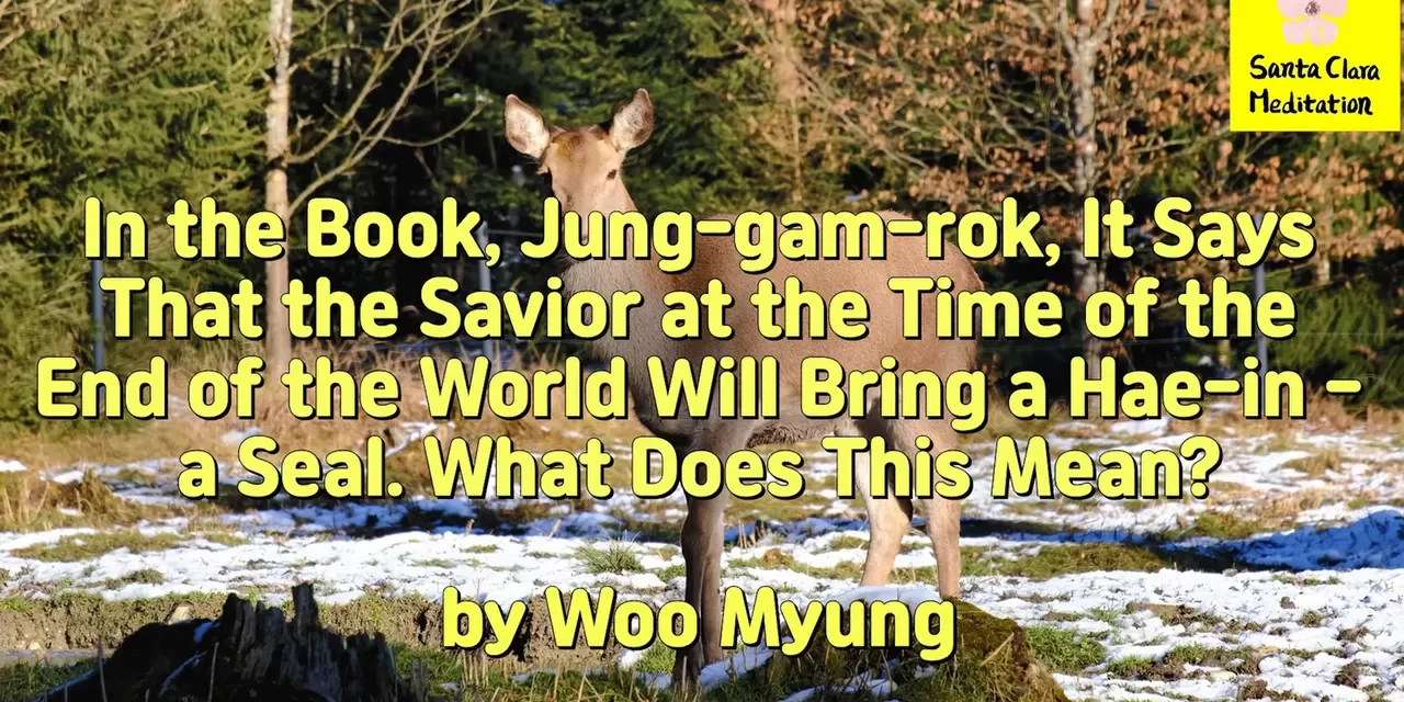 Master Woo Myung – Words of Wisdom – In the Book, Jung-gam-rok, It SaysThat the Savior at the Time of the End of the World Will Bring a Hae-in – a Seal. What Does This Mean?