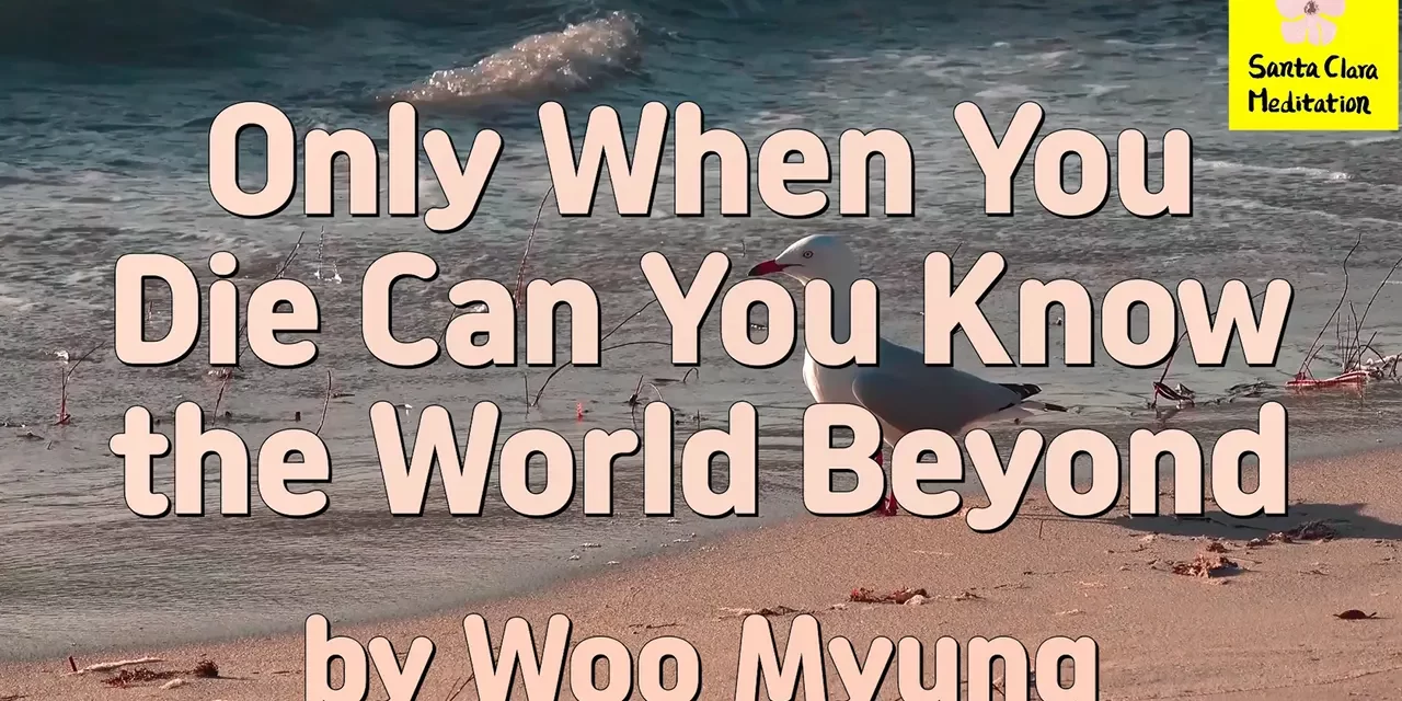 Master Woo Myung – Method to Find True World – Only When You Die Can You Know the World Beyond