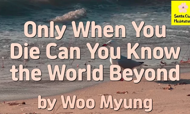 Master Woo Myung – Method to Find True World – Only When You Die Can You Know the World Beyond