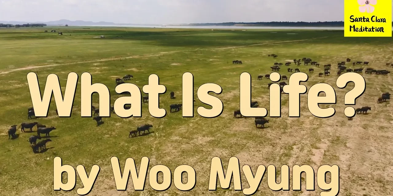 Master Woo Myung – Meditation Verses – What Is Life? | Santa Clara Meditation