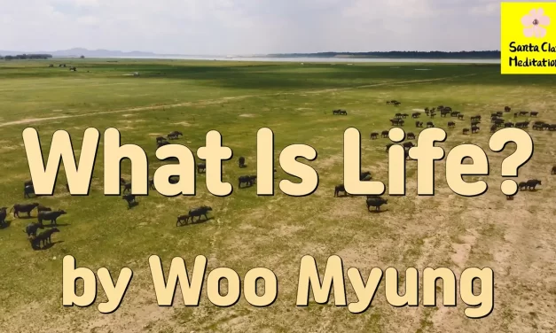 Master Woo Myung – Meditation Verses – What Is Life? | Santa Clara Meditation