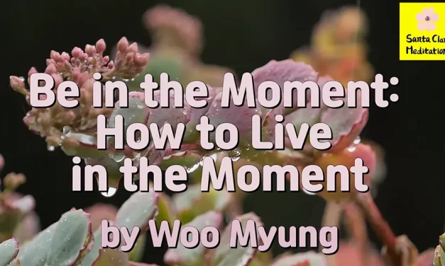 Master Woo Myung – Teaching – Be in the Moment: How to Live in the Moment