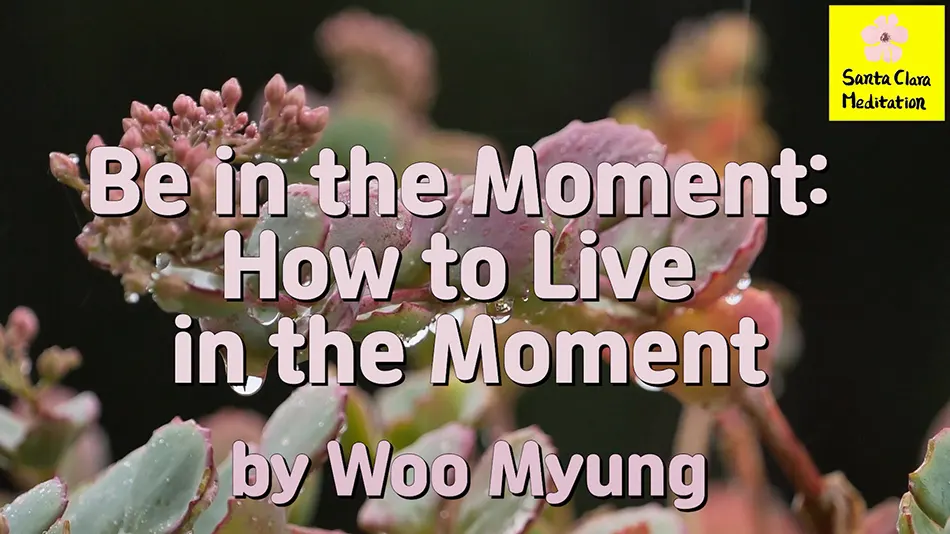 Master Woo Myung – Teaching – Be in the Moment: How to Live in the Moment