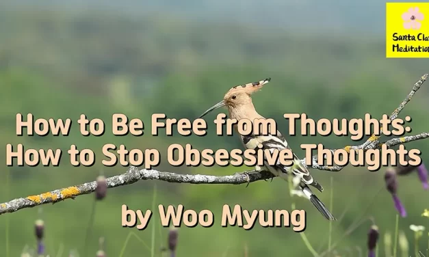 Master Woo Myung – Life Coach – How to Be Free from Thoughts: How to Stop Obsessive Thoughts