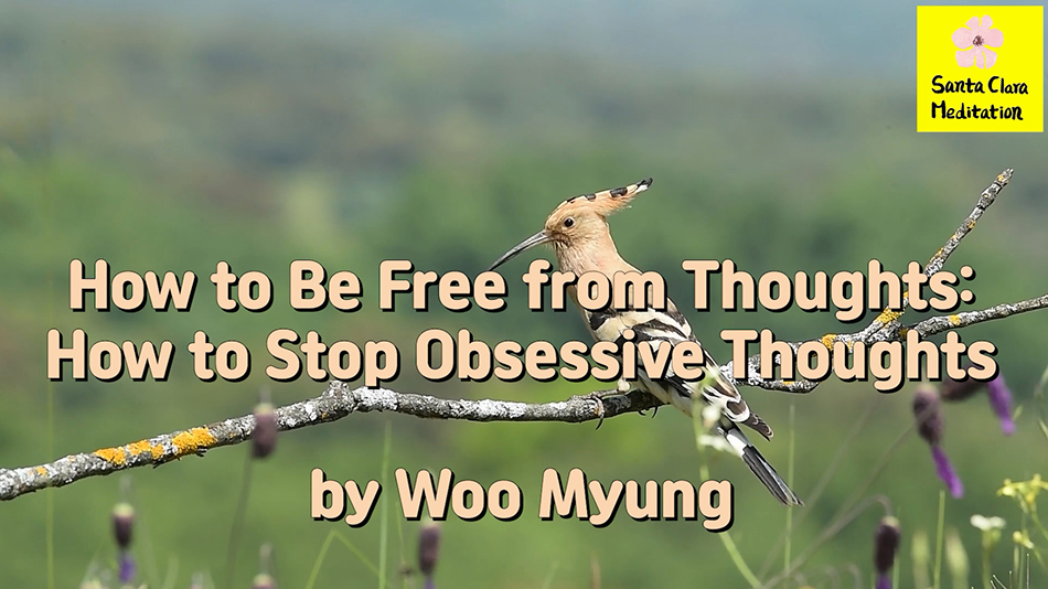 Master Woo Myung – Life Coach – How to Be Free from Thoughts: How to Stop Obsessive Thoughts