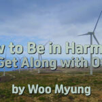 Master Woo Myung Advice for Good Relationships – How to Be in Harmony and Get Along with Others