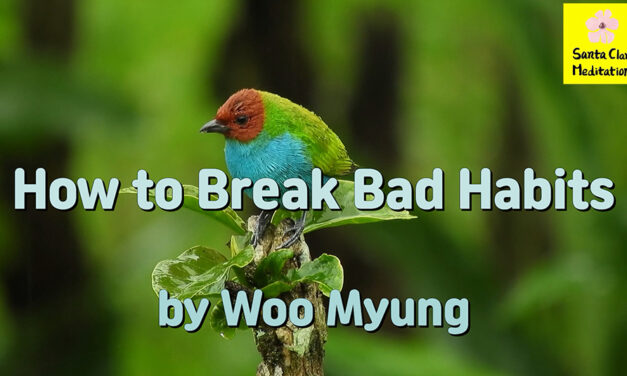 Master Woo Myung – Words of Advice – How to Break Bad Habits