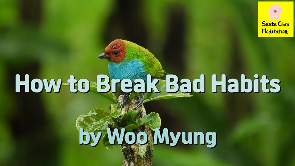 Master Woo Myung – Words of Advice – How to Break Bad Habits