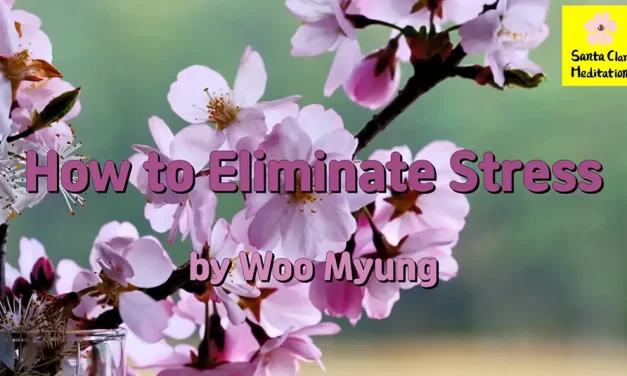 Master Woo Myung – Meditation Effect – How to Eliminate Stress