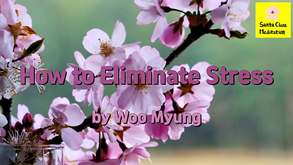 Master Woo Myung – Meditation Effect – How to Eliminate Stress | Santa Clara Meditation