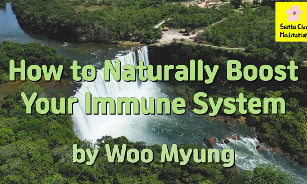 Master Woo Myung – Words of Advice- How to Naturally Boost Your Immune System | Santa Clara Meditation