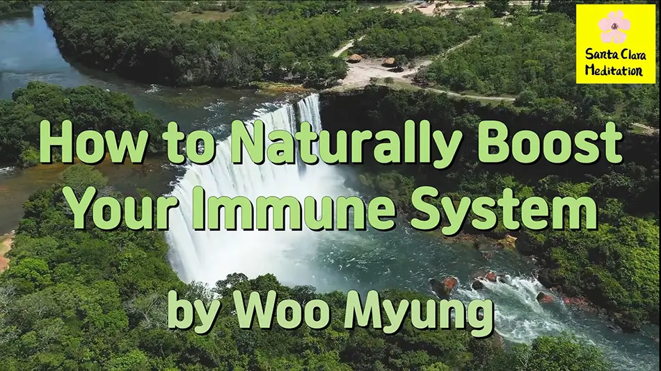 Master Woo Myung – Words of Advice- How to Naturally Boost Your Immune System