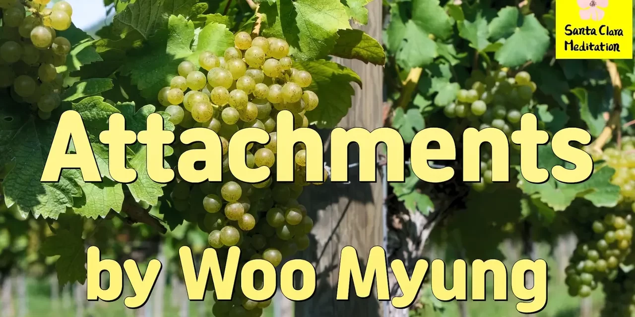 Master Woo Myung – Quote to Awaken – Attachments