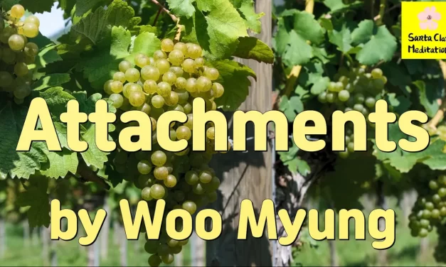 Master Woo Myung – Quote to Awaken – Attachments