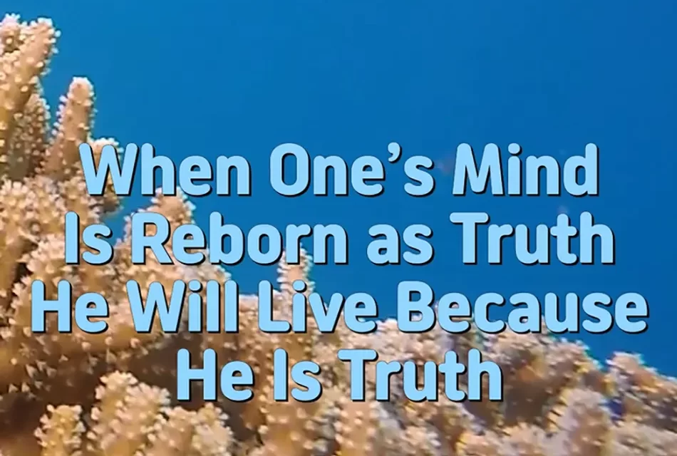 Master Woo Myung – Wisdom Message – When One’s Mind Is Reborn as Truth He Will Live Because He Is Truth