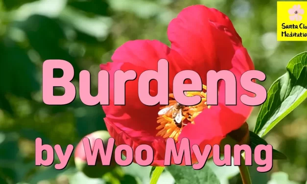 Master Woo Myung – Truth Poem – Burdens