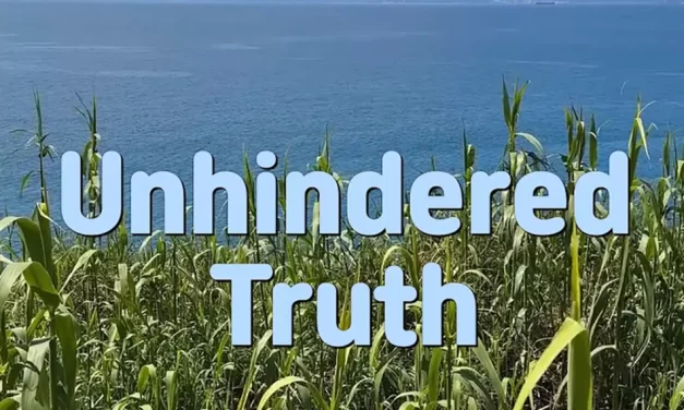 USA Today Bestselling Author Master Woo Myung – Unhindered Truth | Santa Clara Meditation