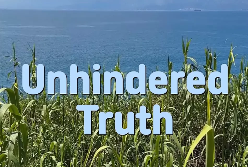 USA Today Bestselling Author Master Woo Myung – Unhindered Truth | Santa Clara Meditation