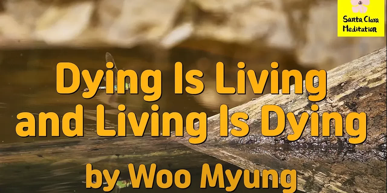 Master Woo Myung – Words of Wisdom – Dying Is Living and Living Is Dying | Santa Clara Meditation