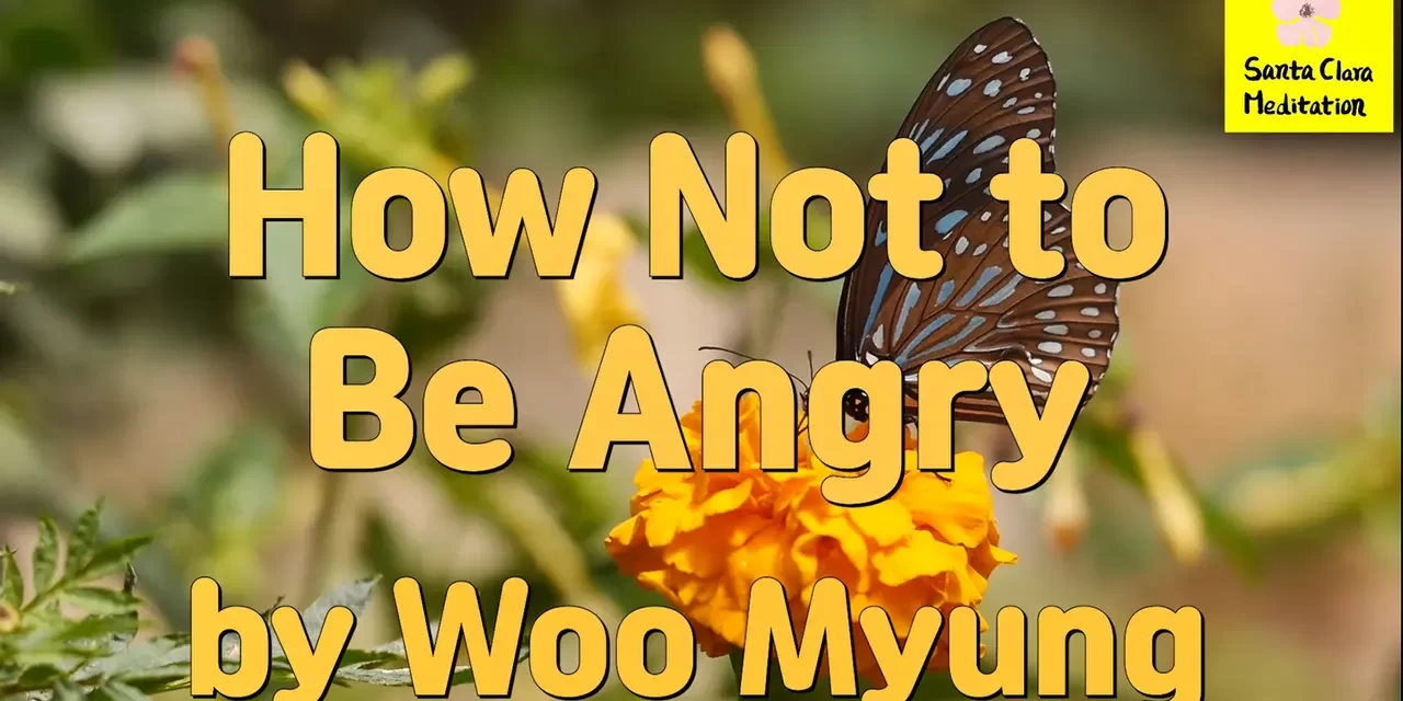 Master Woo Myung – Wisdom’s Answer – How Not to Be Angry