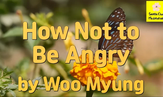 Master Woo Myung – Wisdom’s Answer – How Not to Be Angry