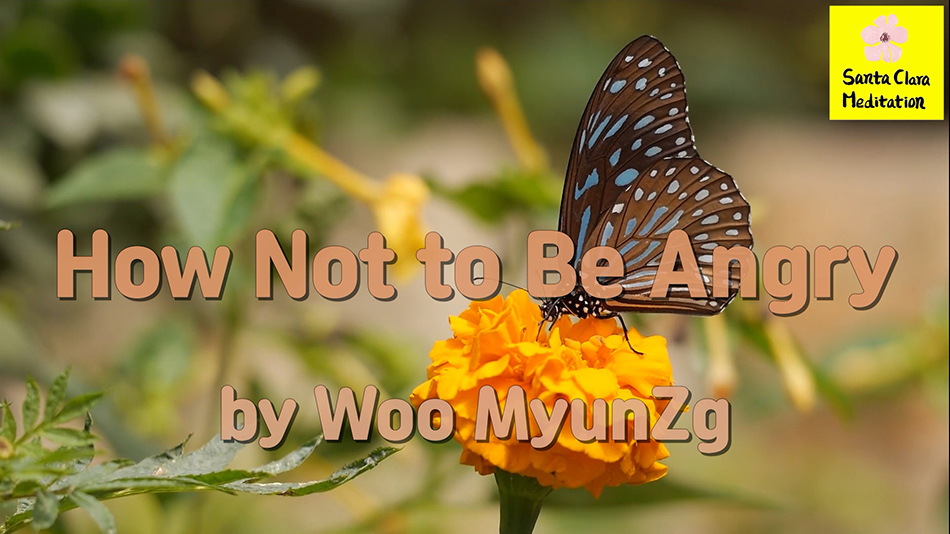 Master Woo Myung – Wisdom’s Answer – How Not to Be Angry | Santa Clara Meditation