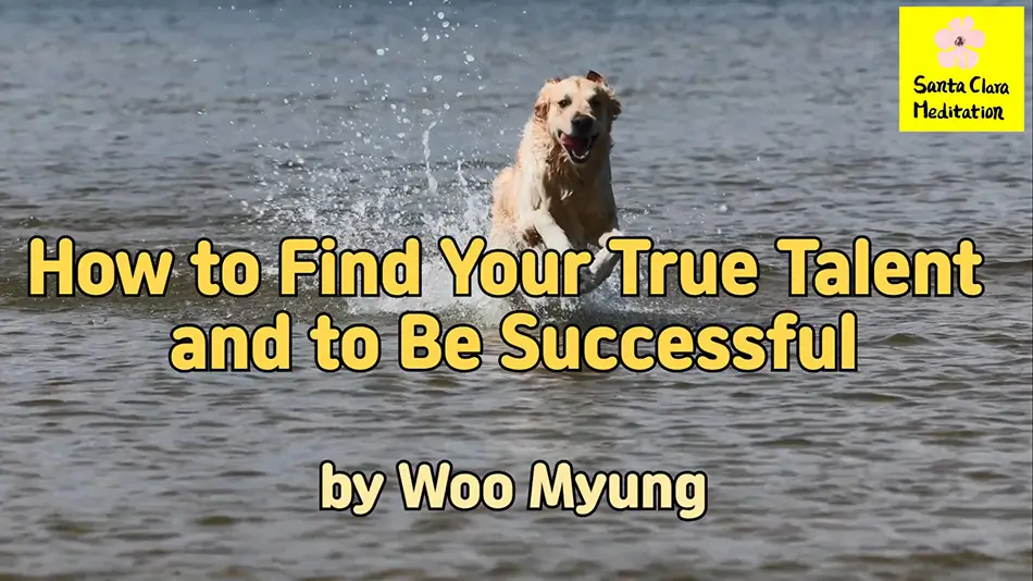 Master Woo Myung – Teaching of Wisdom – How to Find Your True Talent and to be Successful