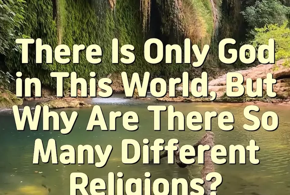 Master Woo Myung – Q&A – There Is Only God in This World, But Why Are There So Many Different Religions?