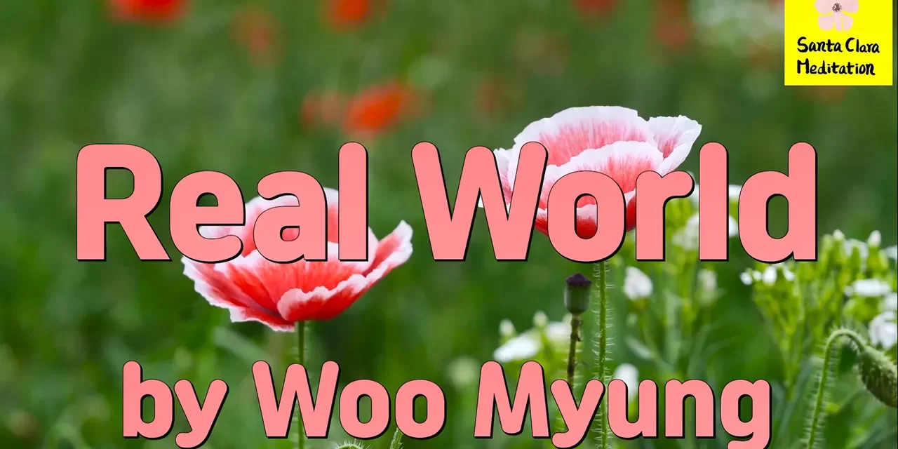 Master Woo Myung – Meditation Teachings – Real World | Santa Clara Meditation