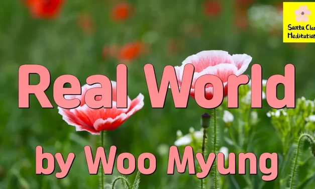 Master Woo Myung – Meditation Teachings – Real World | Santa Clara Meditation