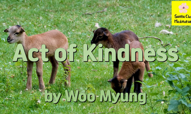 Master Woo Myung – Words of Truth – Acts of Kindness | Santa Clara Meditation