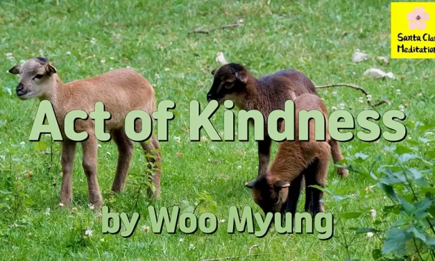 Master Woo Myung – Words of Truth – Acts of Kindness