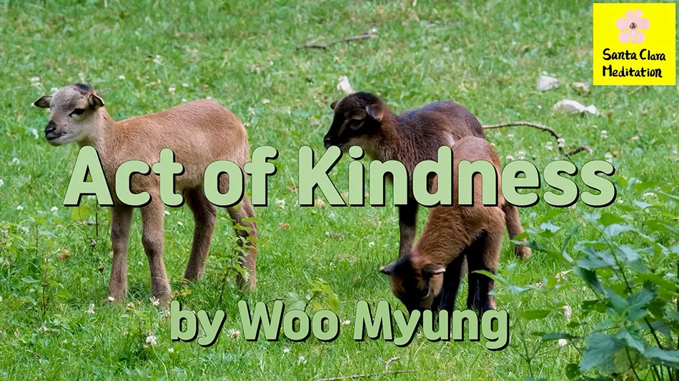 Master Woo Myung – Words of Truth – Acts of Kindness