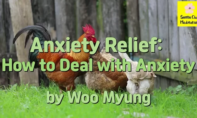 Master Woo Myung – Life Coach – Anxiety Relief: How to Deal with Anxiety