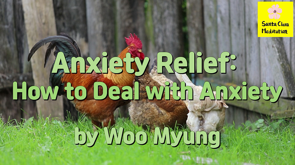 Master Woo Myung Life Coach – Anxiety Relief: How to Deal with Anxiety | Santa Clara Meditation