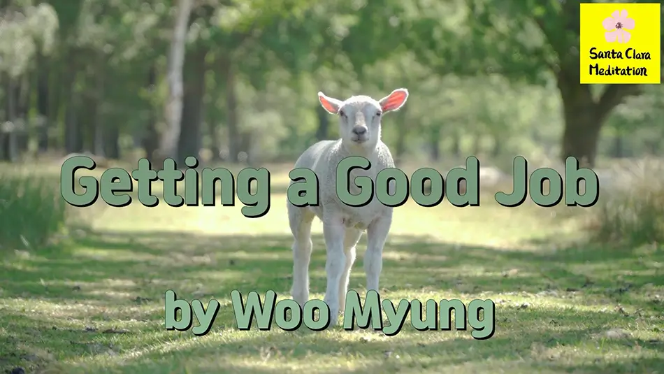 Master Woo Myung – Words of Wisdom – Getting a Good Job