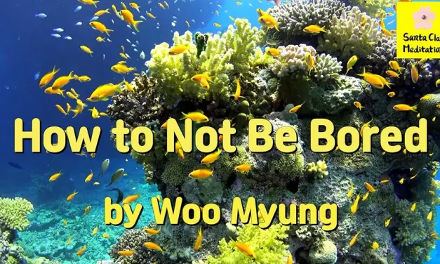 Master Woo Myung – Daily Life Advice – How to Not Be Bored