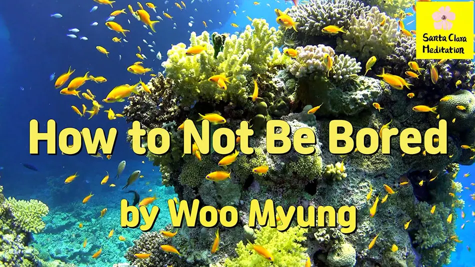 Master Woo Myung – Daily Life Advice – How to Not Be Bored