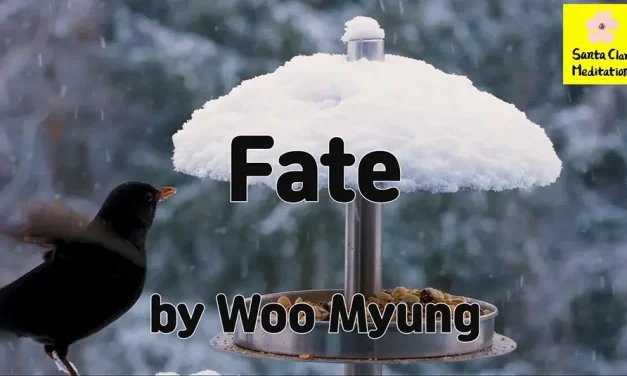 Master Woo Myung Book – World Beyond World – Fate