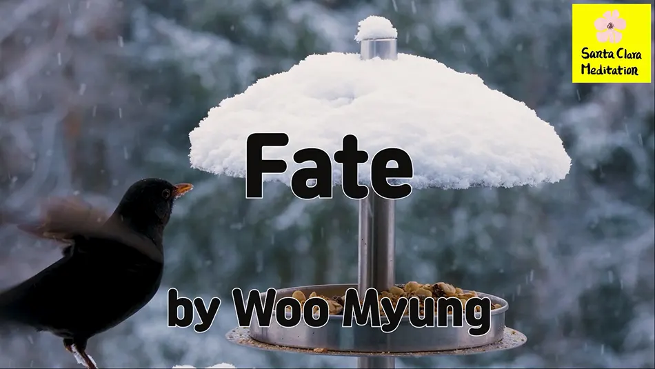 Master Woo Myung Book – World Beyond World – Fate