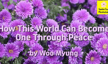 Master Woo Myung – Words of Advice – How This World Can Become One Through Peace