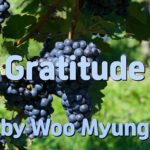 Master Woo Myung How to Have Gratitude – Gratitude | Santa Clara Meditation