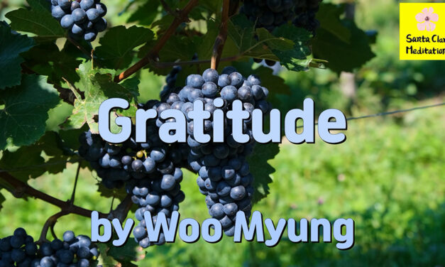 Master Woo Myung – How to Have Gratitude – Gratitude | Santa Clara Meditation