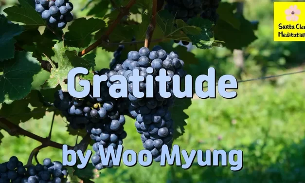 Master Woo Myung – How to Have Gratitude – Gratitude