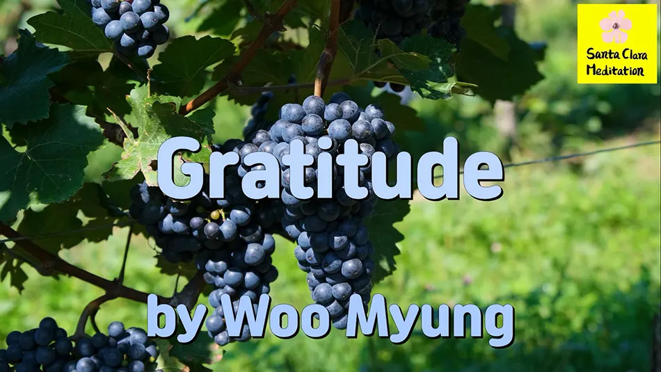 Master Woo Myung – How to Have Gratitude – Gratitude