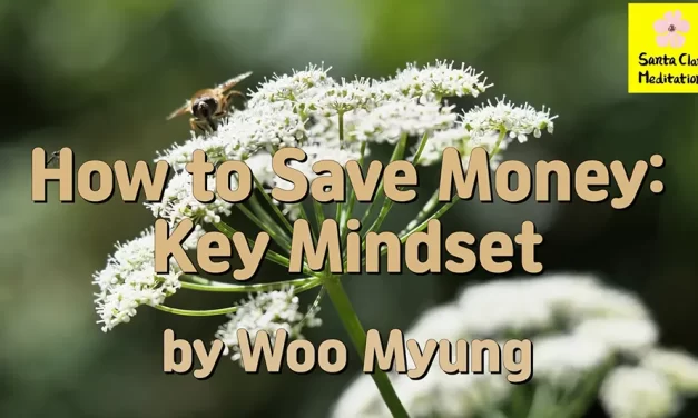 Master Woo Myung – How to Be Wealthy – How to Save Money: Key Mindset