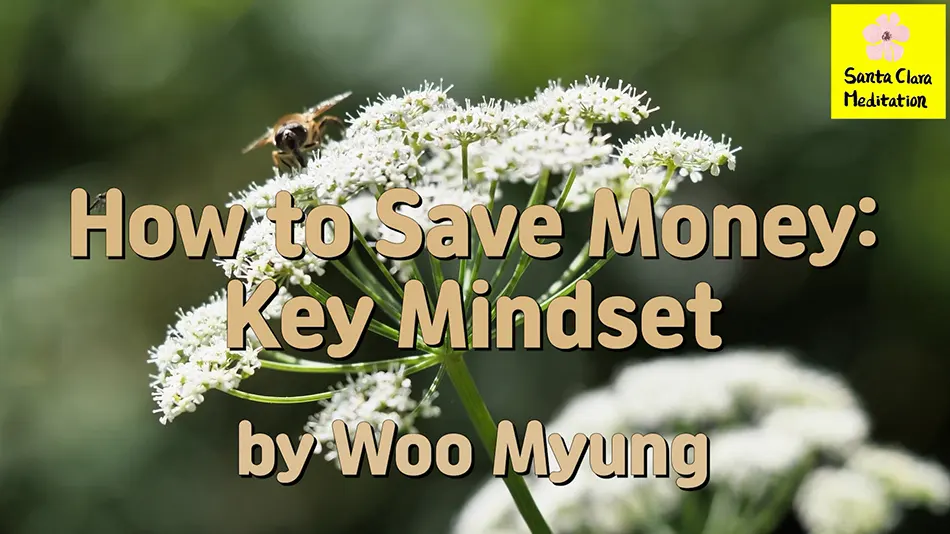 Master Woo Myung – How to Be Wealthy – How to Save Money: Key Mindset