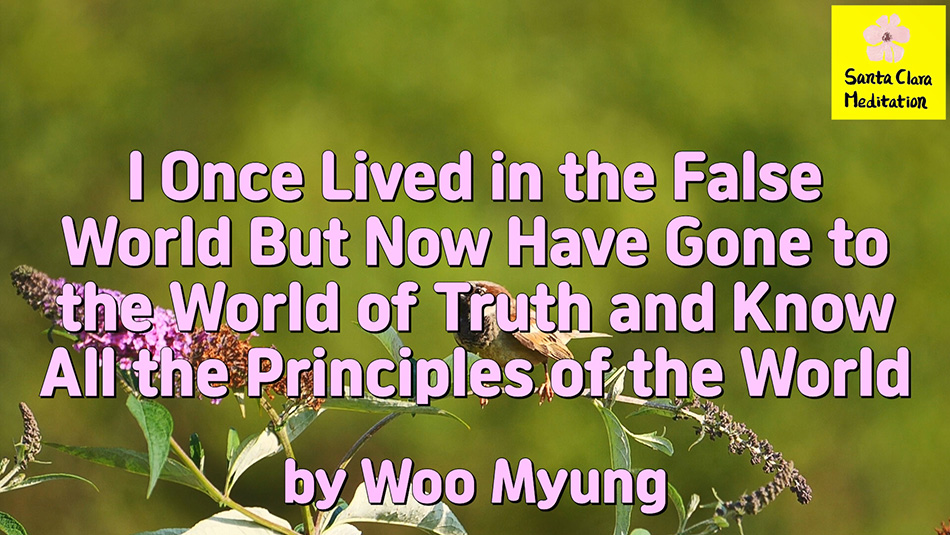 Awarded 2002 IAEWP Mahatma Gandhi Peace Prize – Master Woo Myung – I Once Lived in the False World But Now Have Gone to the World of Truth and Know All the Principles of the World